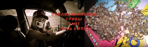 прущая мука Навашино
