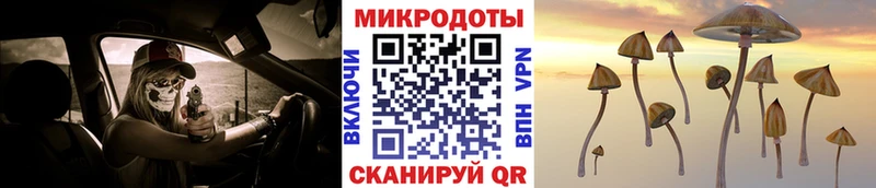 Псилоцибиновые грибы Cubensis  Купить  Дивногорск 